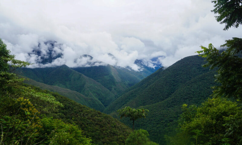 COTAPATA