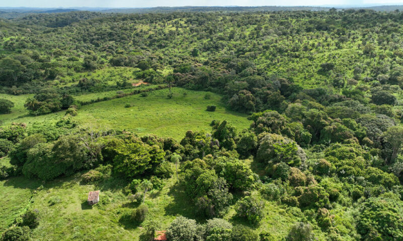 Predio Nueva York, San Ignacio de Velasco