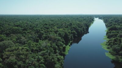 Plataforma ambiental Suecia – Unión Europea