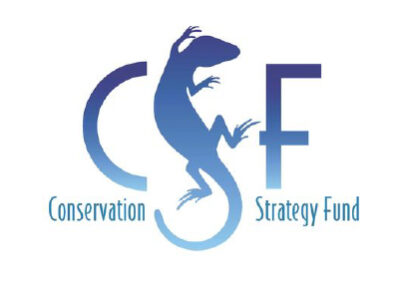 csf csf