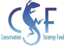 csf csf